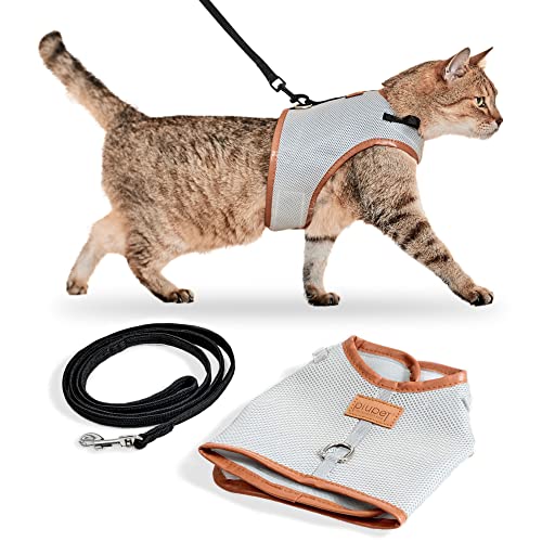 PiuPet® Arnes para Gatos (S) I 1,2m Correa Gato I Arnes para Gatos antiescape I Collar Gato Seguro y Robusto I Correa para Gato I Arnes Perro pequeño