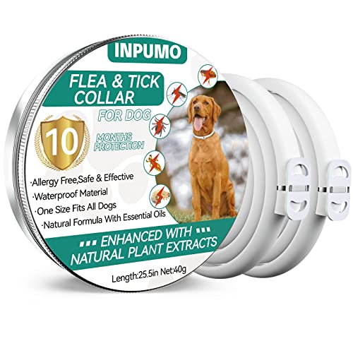 Collar Antiparasitario Perros, Ajustable Collar Antipulgas Perros 10 Meses Natural Impermeable Antipulgas para Perro Collar Antipulgas y Garrapatas para Perros (2 Pack)