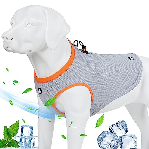 MOKCCI Truelove Chaleco con arnés de refrigeración para perros, con cremallera ajustable para entrenamiento de caza y camping