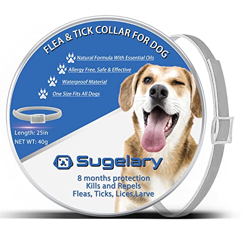 Collar Antiparasitario para Perro, Protección de 8 Meses Collar Antiparasitario de Perro Impermeable Ajustable Collar de Pulgas para Perros Mejorado con Aceites Esenciales Naturales