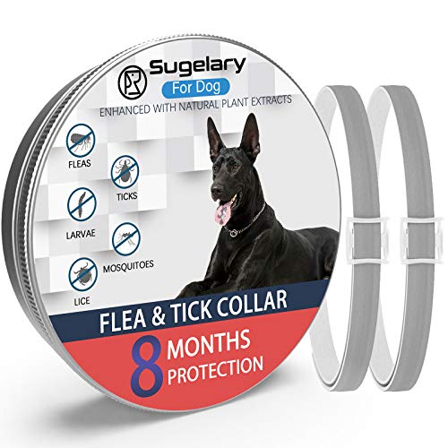 Collar Antiparasitario para Mascotas Perros Plagas Repelentes para Mascotas Agregado con Aceites Naturales, Tamaño Ajustable e Impermeable, Detiene Mordeduras y Picazón (2pcs)