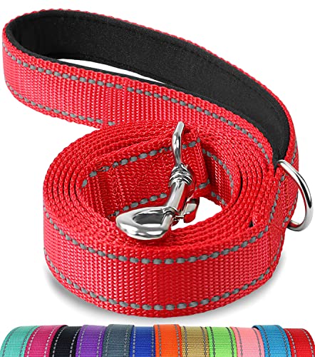 Joytale Correa para Perro Reflectante de Doble Cara, Correa para Perros con Mango Acolchado, Correa de Adiestramiento para Perros Pequeños y Perrito, 120×2cm, Rojo