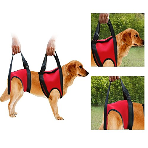 Soporte para Perros Heridos Arnés Pet Walking Ayuda Lifting Pulling Vest Sling Support Rehabilitation para Perros Viejos y heridos(Pata Trasera - L-Rojo)