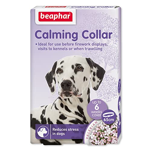 Beaphar Calming Collar para Perros, 65 cm