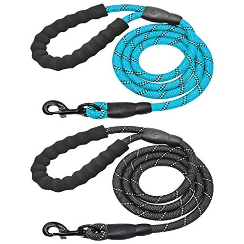 AISHOW Correas para Perros,2 Piezas Correa de Perro Reflectante de Nylon Fuerte de 1,5 m con asa Acolchada Antideslizante,para Pequeños, Medianos y Perros Grandes