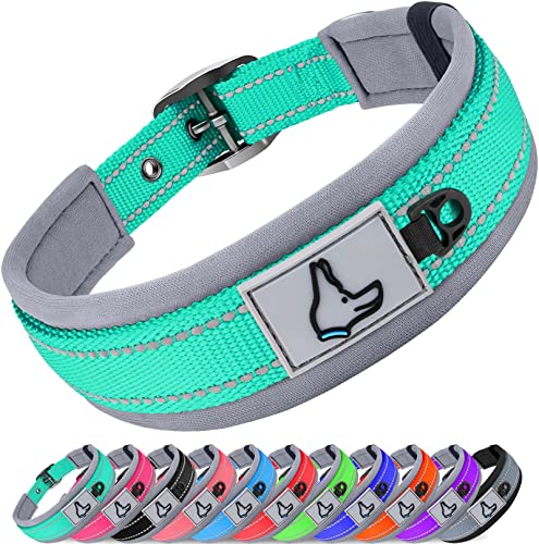 Joytale Collar Perro, Collar Acolchado de Neopreno Nylon Reflectante para Perro Pequeño, Medianos, Grandes, Collar para Perros Resistente Ajustable, Turquesa, S