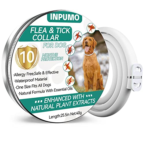 Collar Antiparasitario Perros, Ajustable Collar Antipulgas Perros 10 Meses Natural Impermeable Antipulgas para Perro Collar Antipulgas y Garrapatas para Perros (1Pack)