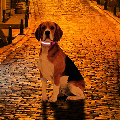 Collar Luminoso Perro Recargable USB con LED, Tamaños XS-XL. Collar Luz Perro - Collar LED Perro - Collar Perro Luminoso - Luz Perro Noche (XL, Rosado)