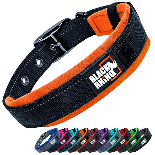 Black Rhino - The Comfort Collar - Collar de perro acolchado de neopreno ultra suave para todas las razas. Resistente, ajustable, reflectante y resistente a la intemperie (S, naranja y negro)