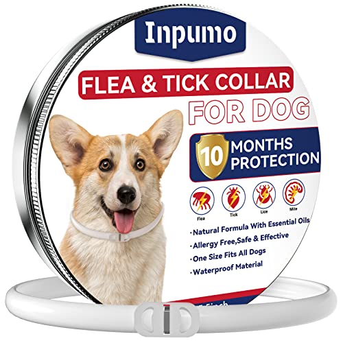 Collar Antiparasitario Perros, Collar Antipulgas Perros, 10 Meses de Protección Mejorada Aceites Esenciales Impermeables y Ajustables 65 cm Perro Pequeño Mediano Grande (1 Paquete)