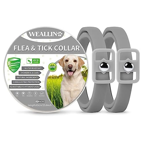 WEALLIN Collar Antiparasitario Perros, Ajustable y Impermeable Collar Antipulgas Perro, Protección de 8 Meses, Aceites Esenciales 100% Naturales para Perros de Todos Los Tamaños, Gris(2 Pcs)