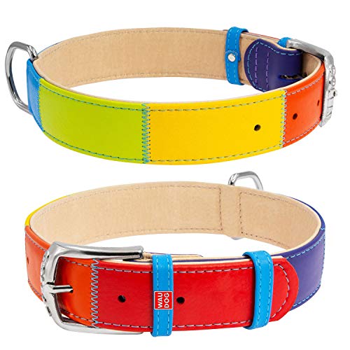 Collar - Collar plano de piel en color arcoíris para perros, 38-49 cm, 25 mm