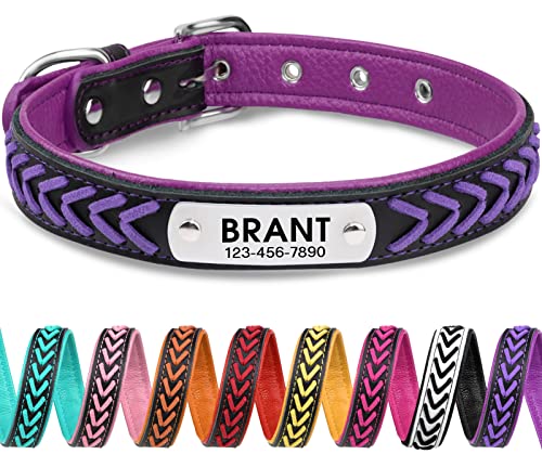 TagME Collares Perros Personalizados,Trenzado Collar Perro Cuero para Perros Medianos,Placa de Identificación de Acero Inoxidable con Nombre y Número de Teléfono Grabados,Morado M 1 Unidad