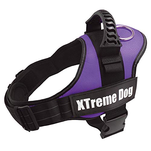 Arquivet Arnés para Perro Xtreme Dog Lila Talla: M/61-81 cm - Chaleco Ajustable y ergonómico - Acolchado y cómodo - Accesorios para el Paseo de los Perros