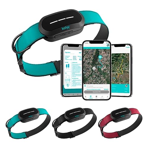 Kolyy: Collar Inteligente para Perros l GPS sin límite de Distancia I Registro de Actividad, Rutas e Informes I Hecho en España I Funciona con suscripción (L, Azul)