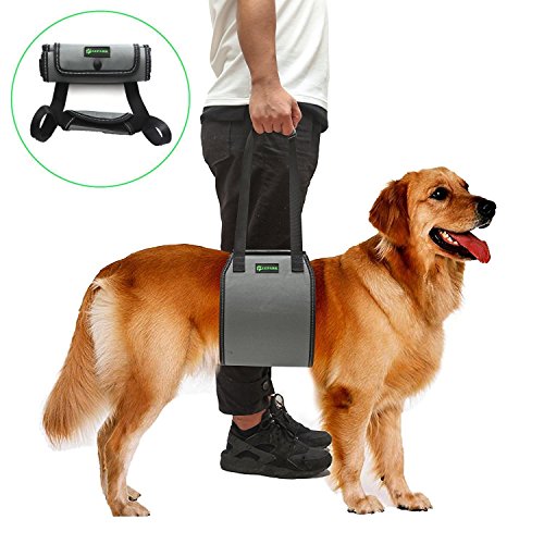 RockPet Soporte para Perros con Manija para la Ayuda Canina, Aprobado por los Veterinarios. Arnés para Levantar Perros Durante la Rehabilitación (L,Gris)