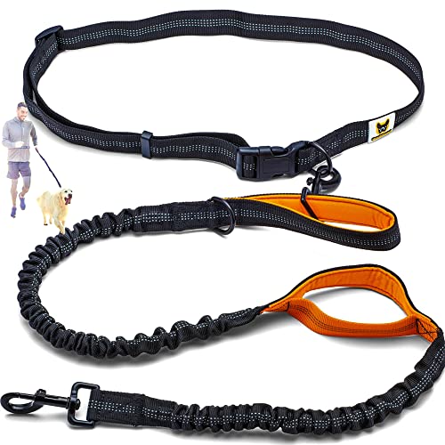 Hundefreund Correa para Correr para Perros Grandes a Partir de 15 kg, Correa elástica para Manos Libres con cinturón Abdominal Ligero, Correa Naranja (120 cm, Extensible hasta 170 cm)