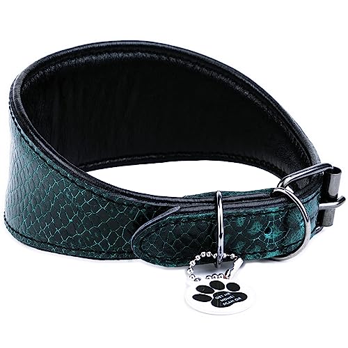 FAVPET Collar de Cuero Suave con Etiqueta de ID QR para Galgo, Galgo Italiano, Saluki, Borzoi, Lurcher, Galgo Español, Azawakh, Xoloitzcuintli, Collar de Perro Hecho a Mano de Cuero (S, Verde)