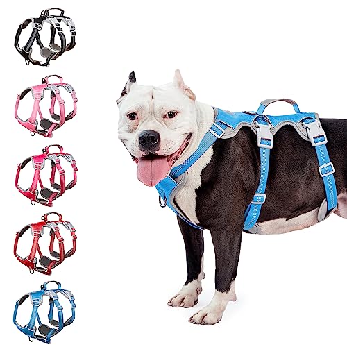 Arnés a Prueba de Escape para Perros, arnés para Perros sin Tirar para Perros Grandes con asa, Reflectante, Transpirable, Duradero, Chaleco Ajustable para Caminar, Entrenar y Correr (Azul, L)