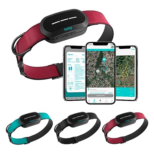 Kolyy: Collar Inteligente para Perros l GPS sin límite de Distancia I Registro de Actividad, Rutas e Informes I Hecho en España I Funciona con suscripción I (M, Rojo)