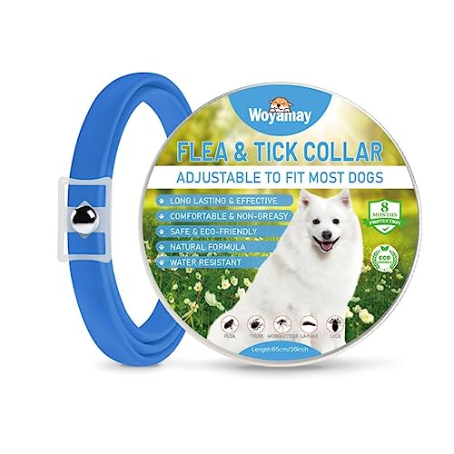 Collar Antiparasitario Perros, Collar Antipulgas Perros Natural, Eficaz Collar Perro Antiparasitario, Válido para 8 Meses, 65cm Impermeable Anti Garrapatas para Perros De Todos Los Tamaños, Azul