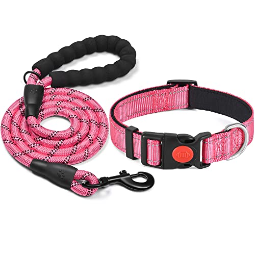 haapaw Collar de Perro Reflectante Acolchado con Neopreno Suave Collares de Perro de Nailon Ajustables Transpirables para Perros pequeños medianos Grandes