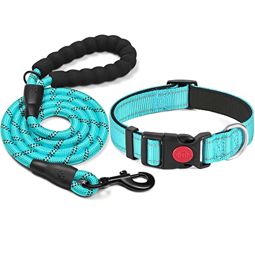 haapaw Collar de Perro Reflectante Acolchado con Neopreno Suave Collares de Perro de Nailon Ajustables Transpirables para Perros pequeños medianos Grandes