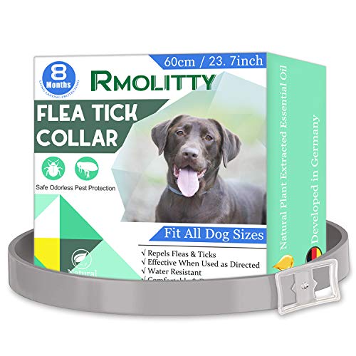 Rmolitty Collar Antiparasitario Perros, Collar para Garrapatas,Tratamiento de pulgas de aceites Naturales para 12 Meses de protección, 65 cm de Longitud para Perros Pequeña Mediano Grande (Green1-1)