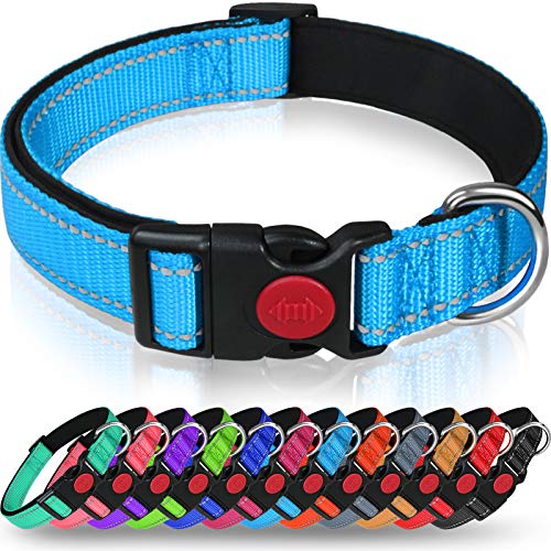 Taglory Collar Perro, Collar Nylon Reflectante Neopreno Forrado Ajustable para Perros Pequeños, Cielo Azul