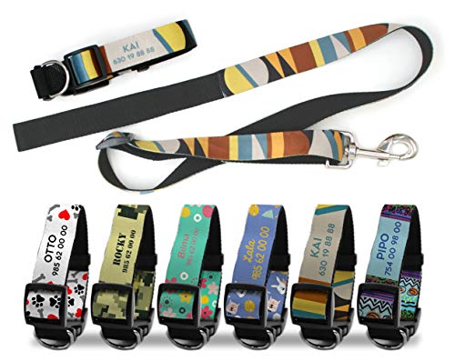 Getsingular Pack Collar y Correa de Perro Personalizados con Nombre y teléfono | Diferentes diseños Modernos, para Perros pequeños, medianos y Grandes | Diseño Animals - Talla S