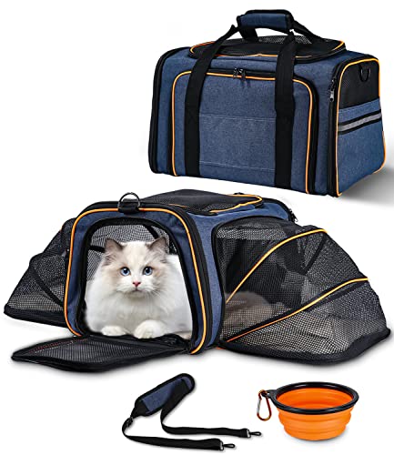 Transportín Gato Perro Extensible, Plegable Transportín Perro Pequeño con Colchón Suave y Hebilla de Seguridad, Transportín para Gatos con Bolsillos, Gran Espacio para Coche, Avión, Viaje(azul marino)