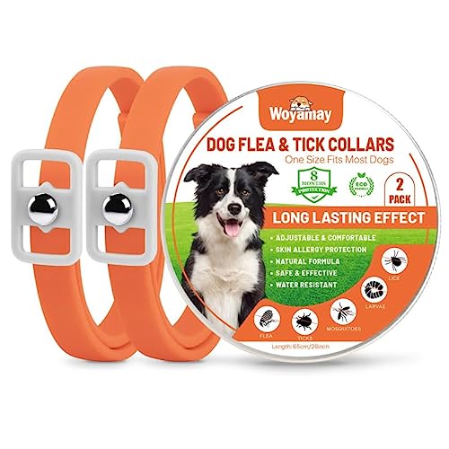 Woyamay Collar Antiparasitario Perros, Natural 8 Meses de Protección Collar Antipulgas Perros, Resistente Al Agua Regulable Collar Pulgas y Garrapatas Perros para Perros, Naranja (Paquete De 2)