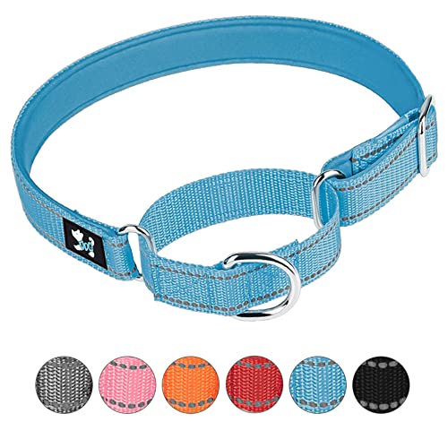 haoyueer Collares ajustables de entrenamiento de seguridad de Martingale, collar de nailon transpirable acolchado de neopreno suave para perros pequeños, medianos y grandes (M, azul)