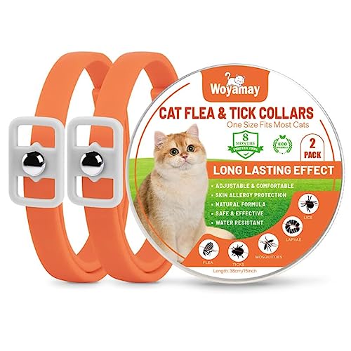 Woyamay Collar Antiparasitario Gatos, Collar Antipulgas Gatos Collar Antipulgas y Garrapatas, Ajustable Resistente Al Aqua, 8 Meses de Protección, para Qualquier Tamaño de Gato, Naranja (2 Unidades)