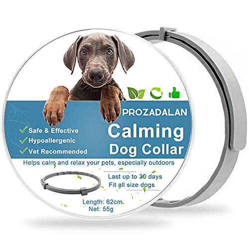 Collar de Perro Calmante, Collar Impermea Bleajustable Para Calmar Eficazmente la Ansiedad Del Perro, 30 Días de Duración Seguro Tóxico Protege la Salud Física y Mental De Los Perros (62cm)