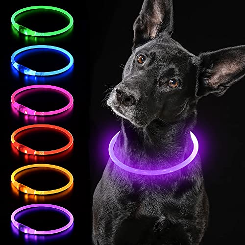 iTayga Collar Luminoso LED Perro Recarable Collares Luminosos para Perros 5 Colores Haga Que su Perro Sea Muy Visible en la Oscuridad, Collar con Luz Perro Pequeño,Mediano,Grande. Morado