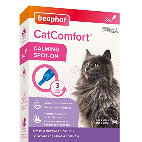 Beaphar - CatComfort Pipetas Antiestrés para Gatos, con Feromonas para Gatos, Reduce Estrés y Ansiedad, Miedos, Cambios Entorno, Hogar, Maullidos, Marcajes con Orina, Conflictos, 3 Unidades