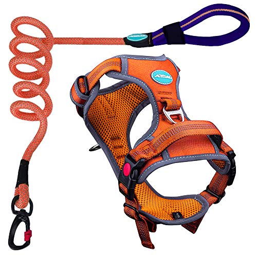 ThinkPet - Arnés deportivo para perros, transpirable, con asa, sin tirones, conjunto de chaleco de seguridad reflectante acolchado con correa reflectante de neón de 1,5 m, tamaño XL, color naranja