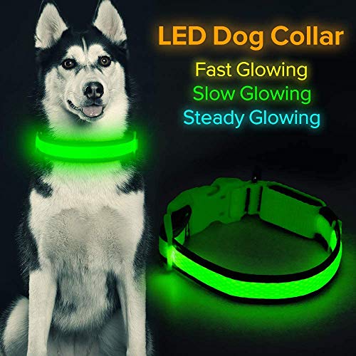 Collar para perros con luz led brillante, con micro USB recargable, para mascotas, malla cómoda y suave, seguro, para perros pequeños, medianos y grandes (talla L, color verde)