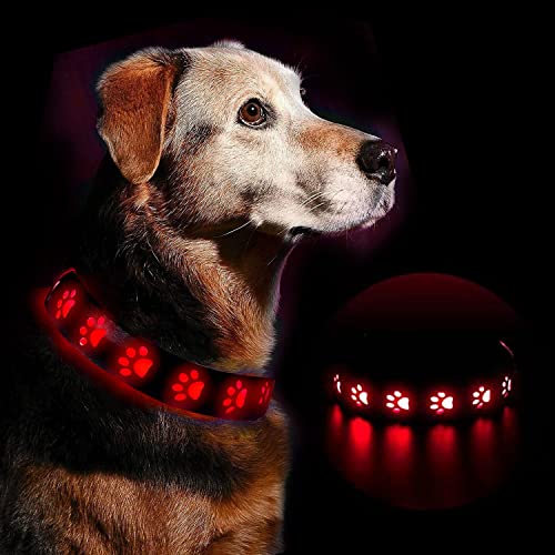 Collar Perro Luminoso, Collar LED Perro Recargable Impermeable, Intermitente Collar de Perro con Luz 3 Modos de Iluminación Ajustable para Perros Grandes