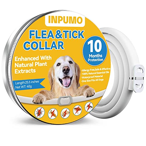 Collar Antiparasitario Perros, Collar Antipulgas Perros, 10 Meses de Protección Collar Antiparasitario Perros Ajustable Impermeable Natural Antipulgas y Garrapatas (1Pack)