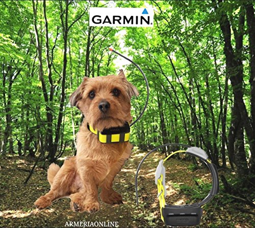 Garmin Radio Collar GPS satélite Atemos para perro de caza atemos k5