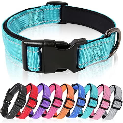 HEELE Collar Perro, Collar para Perro Extra Pequeño, Collar Nylon Reflectante Neopreno Forrado Ajustable para Perro Pequeño, Azul, XS