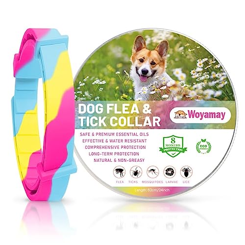 Collar Antiparasitario Perros, Eficaz Collar Antipulgas Perros contra Garrapatas y Mosquitos, 8 Meses de Protección Ajustable e Impermeable Collar Perro para Pequeño Mediano Grandes, Iridiscente