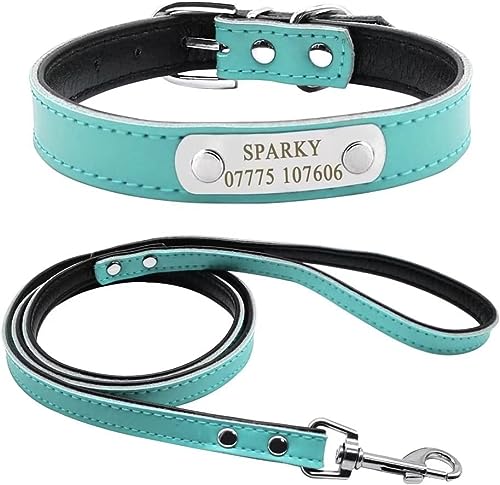 Didog Juego de collar y correa de cuero suave acolchado para perro con placa de identificación grabada personalizada, para perros pequeños y medianos, azul, talla S