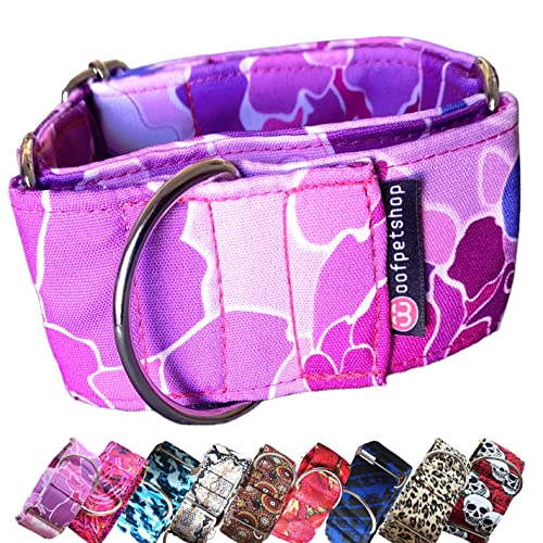 Woofpetshop® Collar Martingale,Collar para Perro Pequeño, Medianos, Grandes,Collar Perro ideal Galgo y Podenco (5cm - Talle M (40~50cm), Stringle Fux)