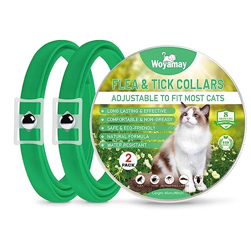 Collar Antiparasitario Gatos, Collar Antipulgas Gatos Natural, Resistente al Agua, Seguro y Eficaz Collar Antipulgas y Garrapatas Gatos, 8 Meses de Protección contra Pulgas Collar Gato Verde, 2 Pcs