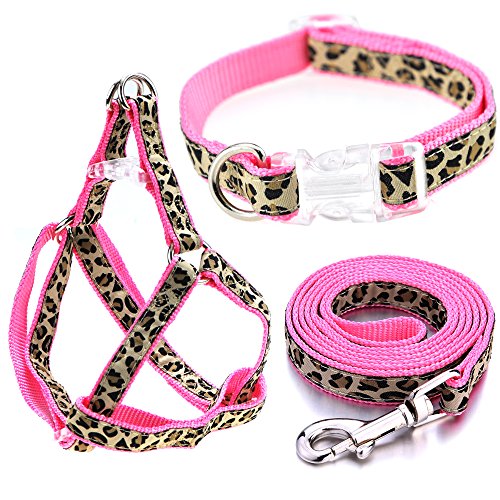 Mile High Life Collar, arnés y Correa para Perro de Leopardo Accesorio para pasear a tu Perro